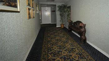 Miners Motel 2*